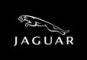 10-05-24-16-22-47-jaguar